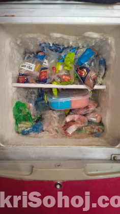 Singer Refrigerator RD 18DR